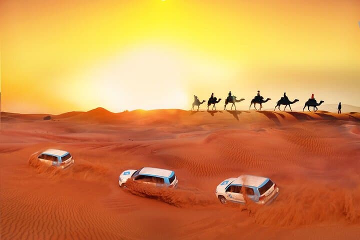 Private Doha Desert Adventure