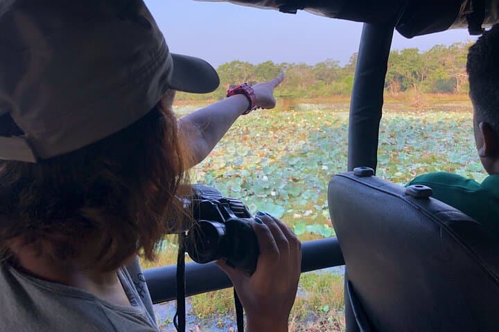 All inclusive Guided Safari in Wilpattu, from Colombo & Negombo.