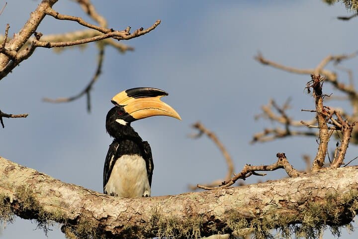 Romantic Glamping Safari Bordering Yala National Park 2- days