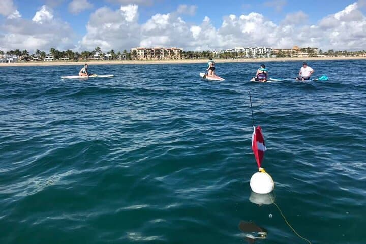 Lauderdale By The Sea Replicated Shipwreck & Reef Snorkel Trails