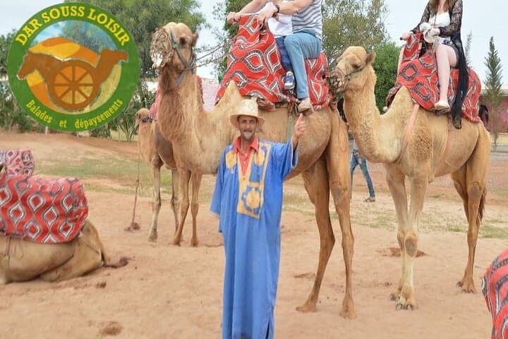 Agadir Camel Ride Experience