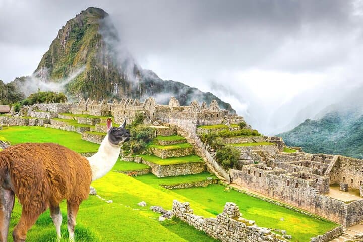 8-Day from Lima: Cusco, Sacred valley, Machupicchu, Lake Titicaca
