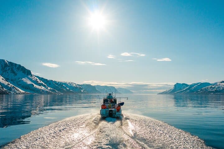 Alta: 2 Hours Guided Adventure Cruise in Alta Fjord