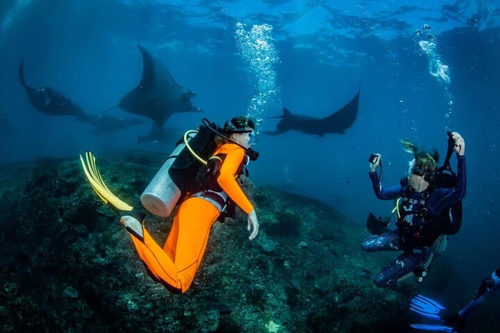 Nusa Penida. Diving.