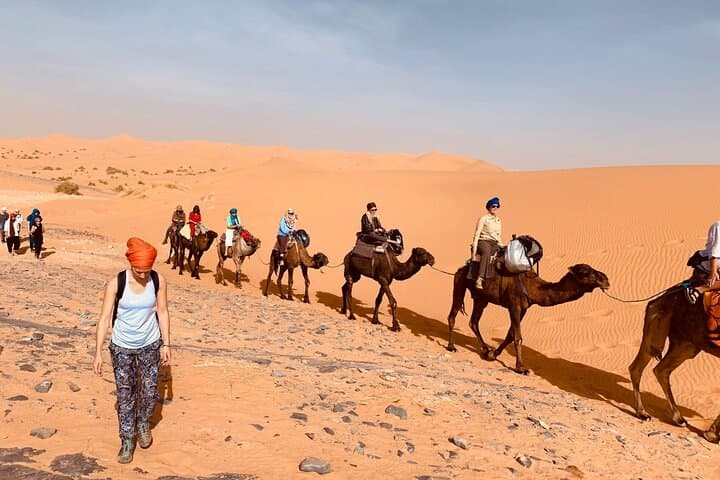 sahara wellness camp