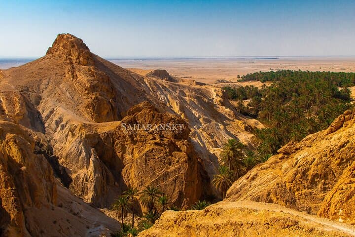 Tozeur Private Half-Day Tour: Tamerza, Chebika and Mides Canyons