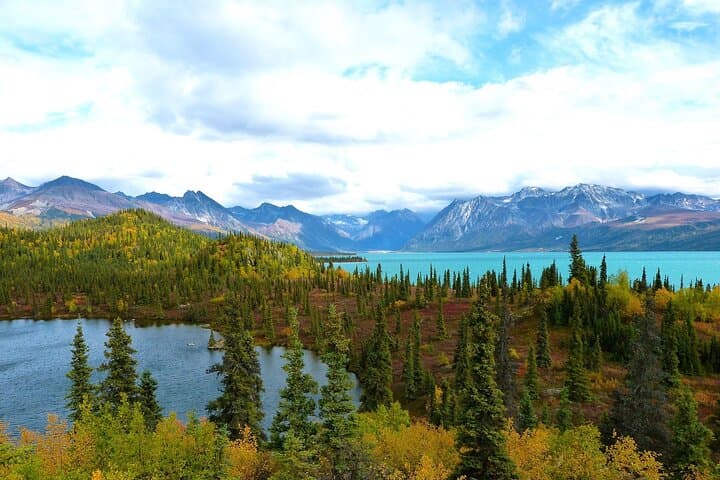 Private Transfer, Seward Cruise ship to Anchorage