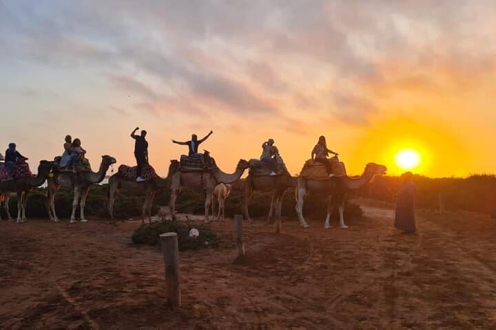 Agadir Sunset Camel Ride with Moroccan Barbecue & Hotel Transfers