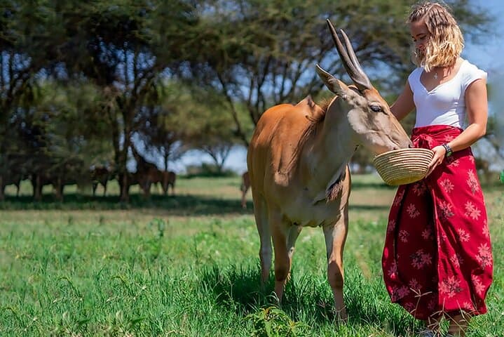 Serval wildlife ,Materuni waterfall and coffee tour