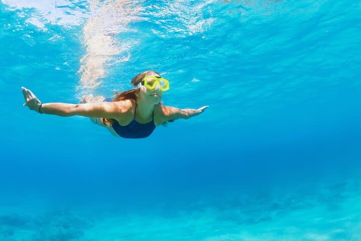 Soundside Cruiser Snorkeling and Dolphin Watching Experience