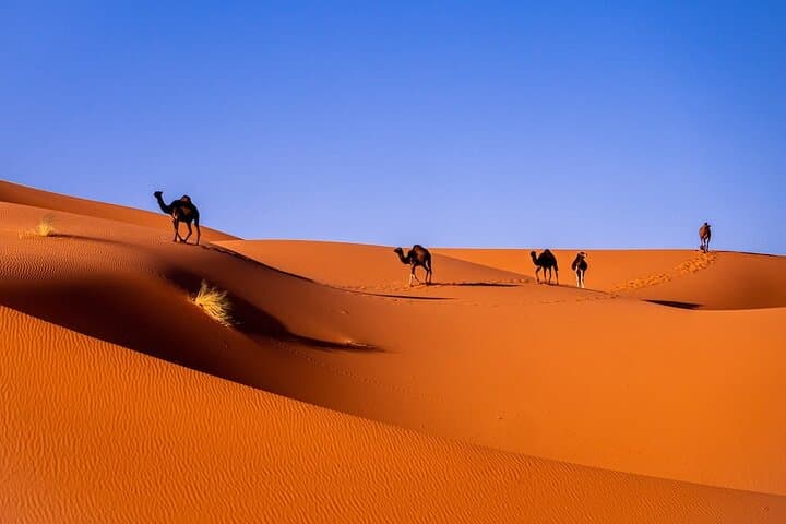 3-Day Merzouga Desert Tour from Marrakech with Overnight Camp