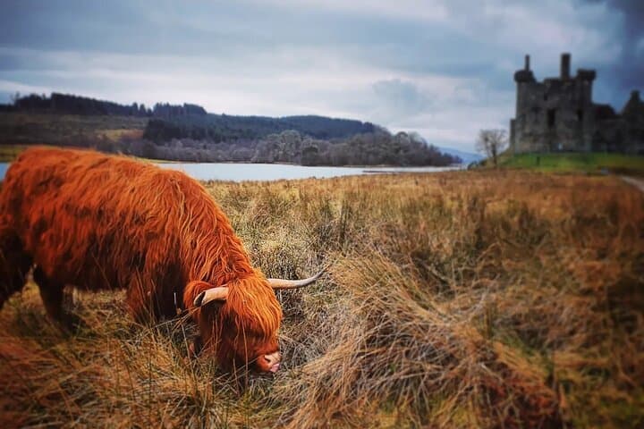 Full Day Private Tour in West Highlands, Oban and Glencoe