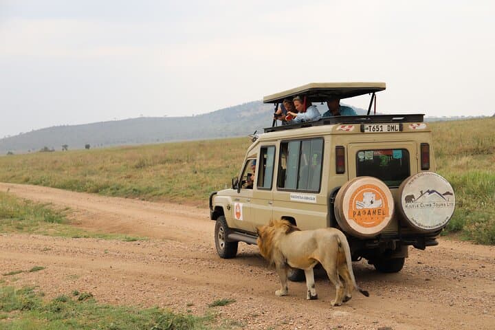 4-Day Private Safari Tour in Tanzania with Guide