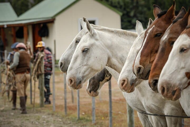Horse Back Riding Expedition