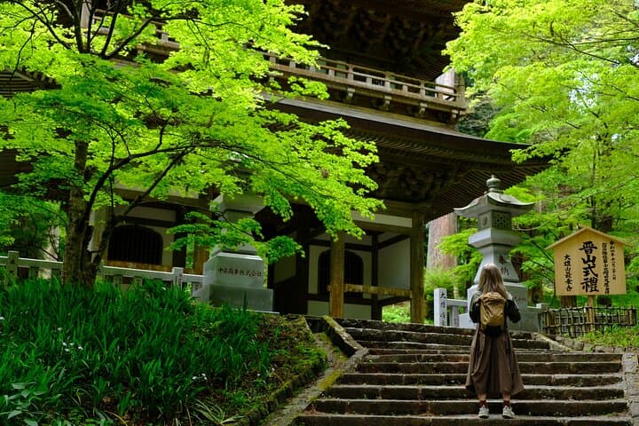 Forest Bathing in Temple and Enjoy onsen with healing power