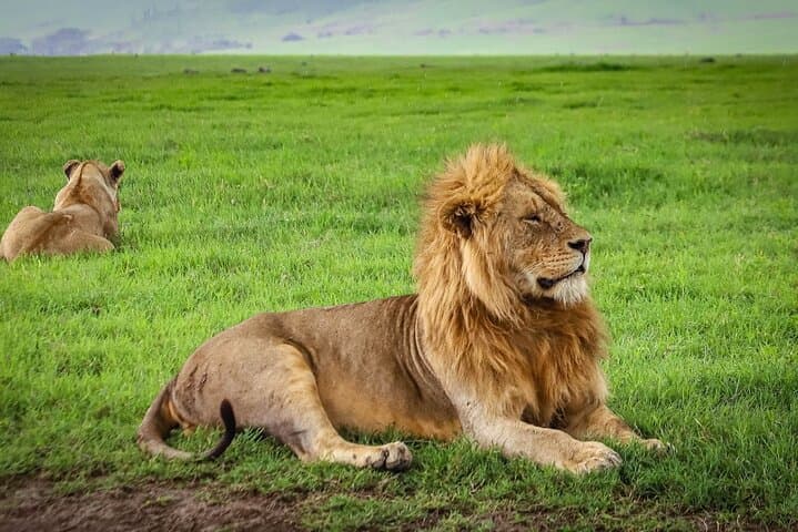 5 Days Private Camping Safari in Tanzania
