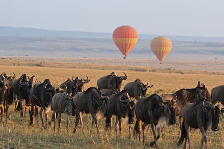 5-Day Classic Tarangire, Serengeti & Ngorongoro Camping