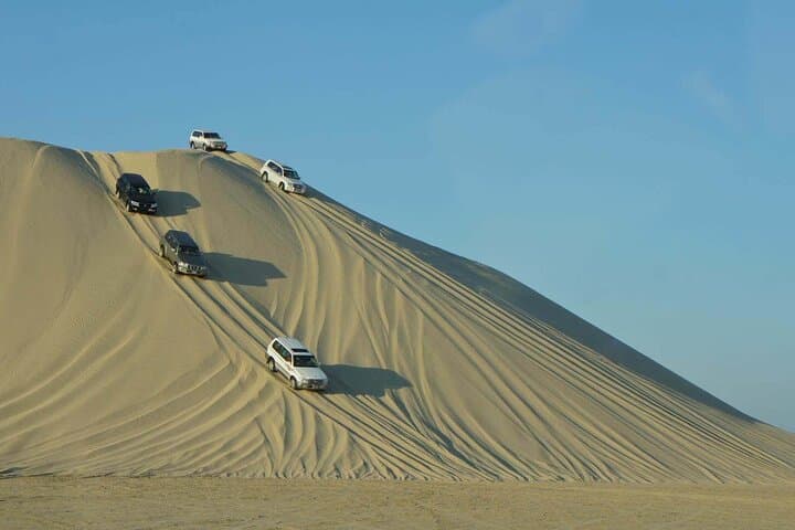 Doha, Qatar: Desert Safari, Dune Bashing (Private/Sharing Safari)