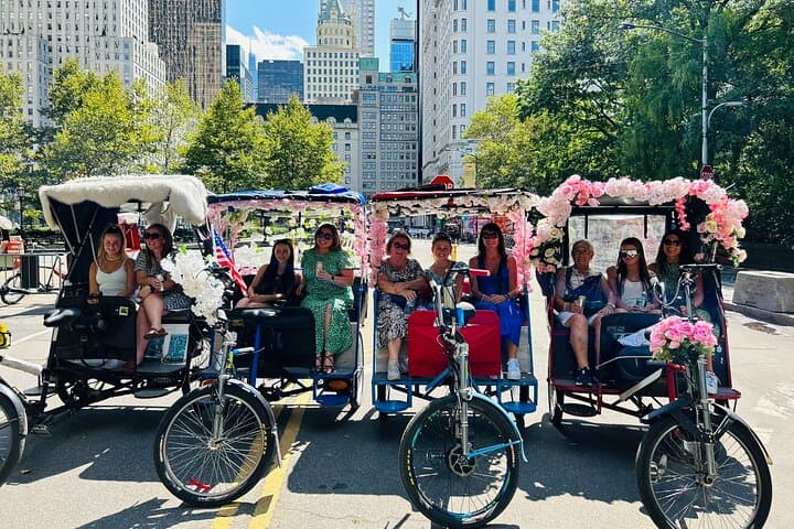 NYC Central Park guided Pedicab Tour - 2 hours