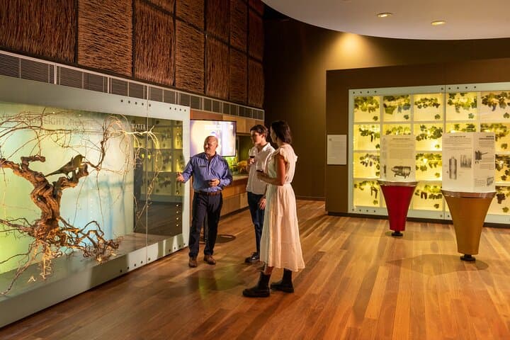 Hosted Tour of the Australian Wine Story