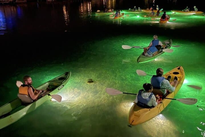 Sharkey's Glass Bottom Fish Feeding LED Night Tour in Clearwater