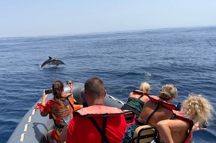 Dolphins & Benagil Caves with Biologist guide