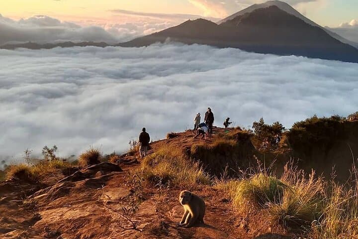 Mount Batur Hiking With Terraced paddy Field Visit