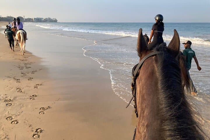 Private Horse Riding Activity in Port City