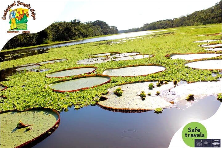 4 Day Wildlife and Campsite - Ecological Jungle Trips