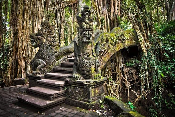 Bali Ubud Tour: Monkey Forest, Waterfall & Rice Terrace
