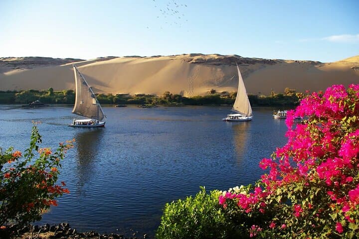 Felucca Nile Tour in Aswan