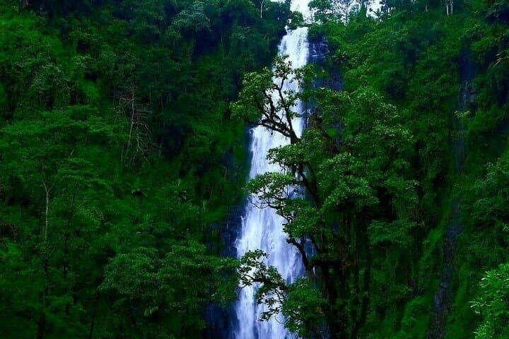 Materuni waterfall - coffee tour OR Chemka hot spring Tour