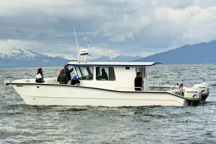 Icy Strait Whale & Wildlife Endeavor