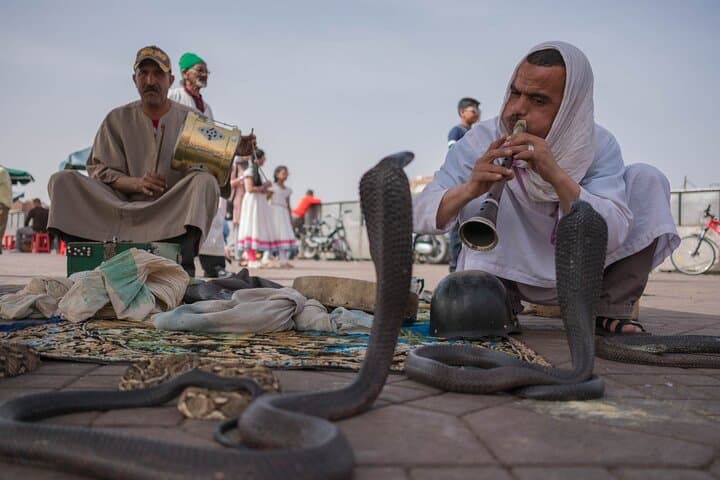 Marrakech day tour Immersion in Craft and Culture in VIP Van