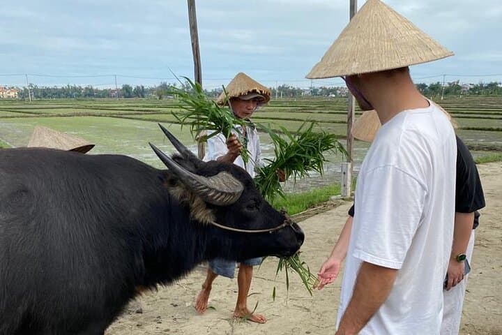 Half-Day Rural Adventure in Hoi An