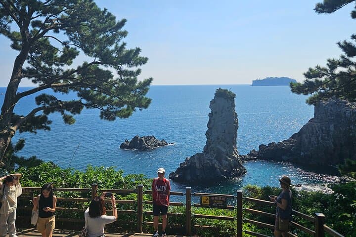 Private Guided Car Tour in Jeju Island