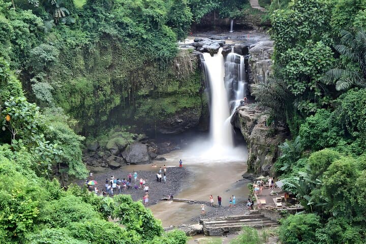 Bali Full-Day Car Charter: All About Ubud Destination Trip