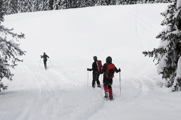 Snowshoeing in Sethan Village, Manali