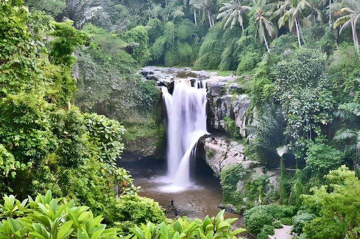 Bali Half-Day Car Charter: Ubud Waterfall Trip for 7 Hours