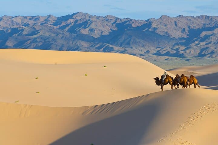 Captivating Central Mongolia with Guide