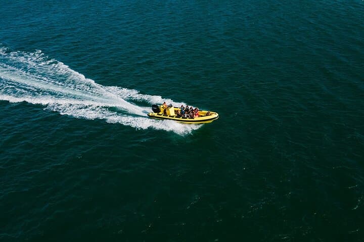 Hop On Hop Off 3 Islands: Deserta, Farol and Culatra