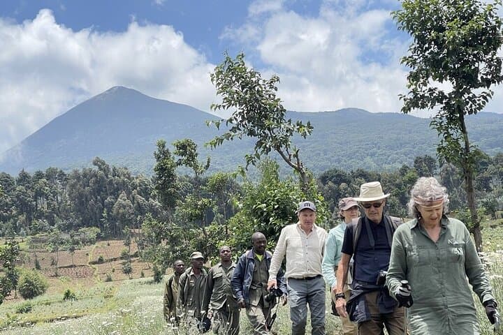 Mountain Gorilla Trek with Breathtaking Wildlife
