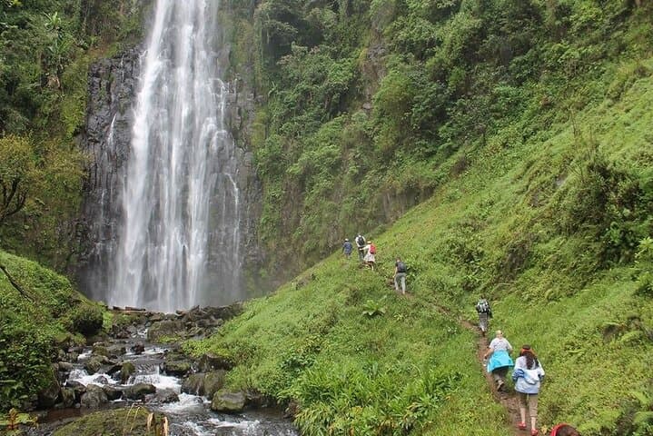 3 Days Tour to Tarangire, Ngorongoro and Materuni