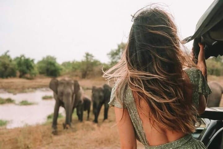 Kandy to Anuradhapura Shuttle & Safari Drive