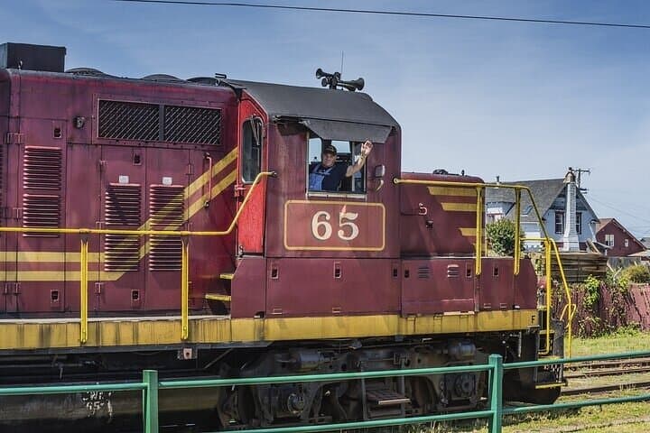 Skunk Train: Wolf Tree Turn from Willits