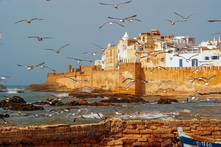 From Marrakech: Full-Day Trip to Essaouira City