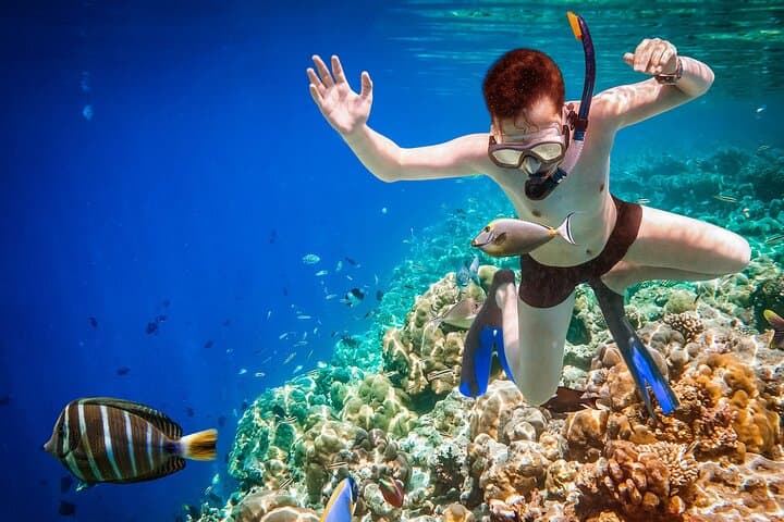 Private Guided Diving Experience in Dahab