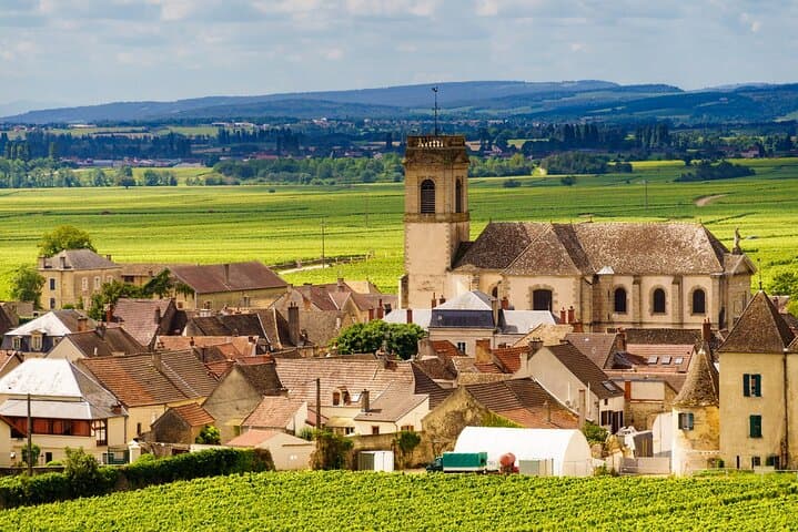 Private Burgundy Côte de Beaune Wine Tour Experience from Beaune