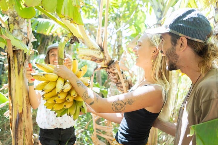 Maui Farm to Taco: A Farm to Table Cooking Class