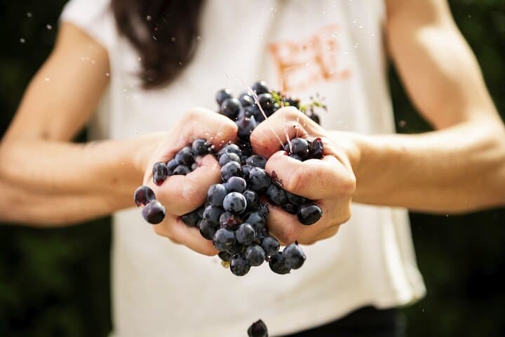3-Hour Private Food and Wine Experience in Montalcino